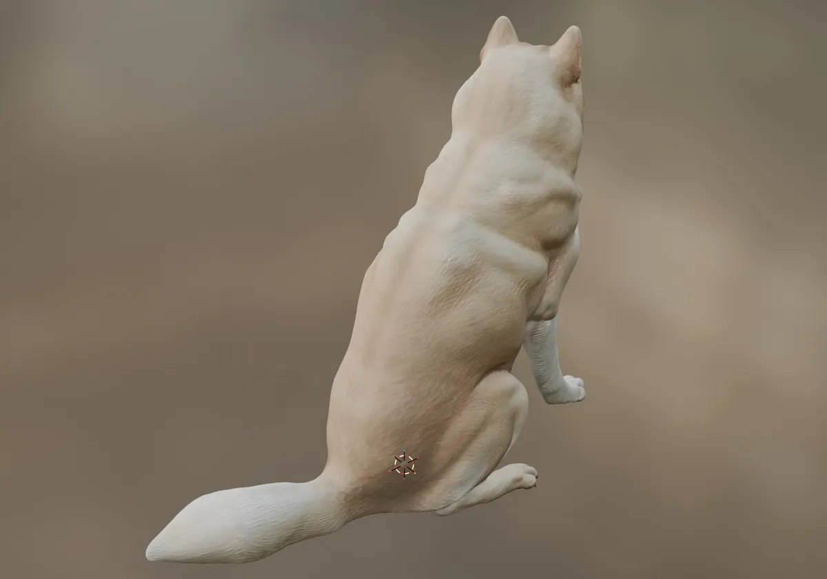 The same seated dog model with fur colour and texture applied.